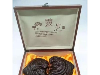 灵芝礼盒装紫灵芝长白山东北特产林芝送礼中老年会销批发图2
