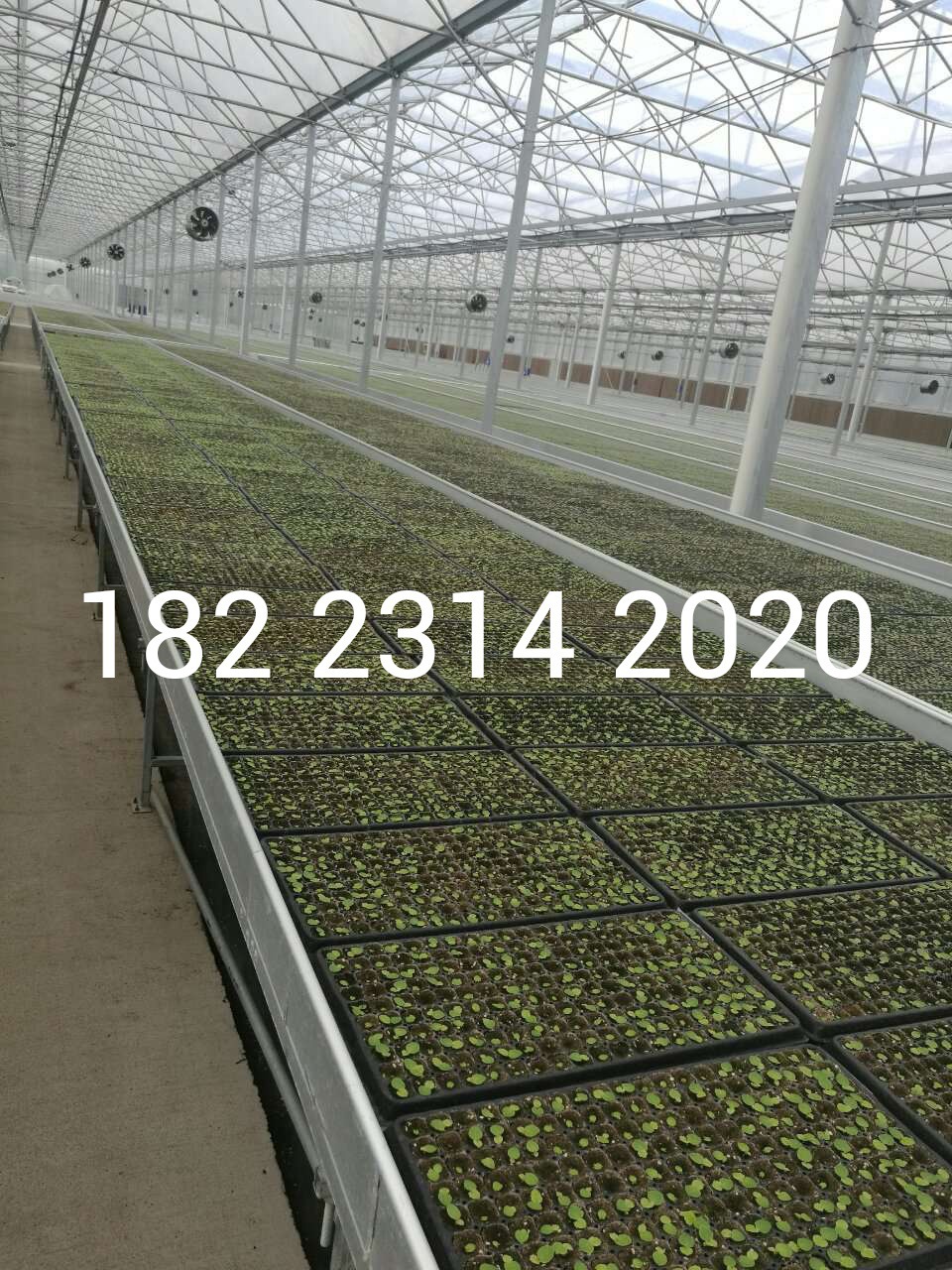 3183292569_1256678885