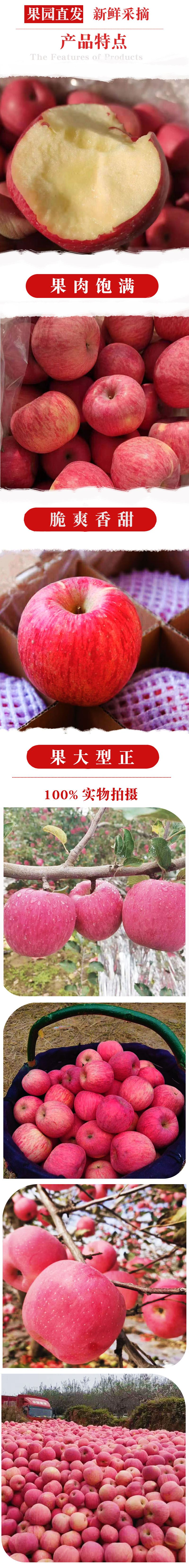 陕西延安洛川红富士苹果
