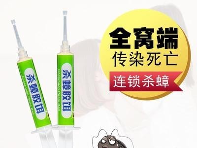 蟑螂药杀蟑螂胶饵10克灭蟑螂全窝端蟑螂诱饵剂小强胶饵厂家直供图2