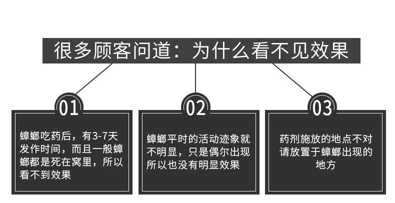 蟑螂详情_04