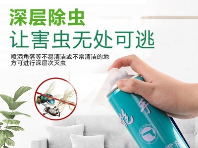 批发室内杀虫气雾剂 灭蟑螂蚊子家用手持式喷雾剂750ml量大批发图4