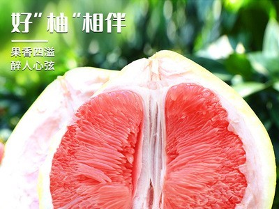 福建琯溪平和蜜柚新鲜采摘红心柚子水果代发当季红柚红心柚果园图4