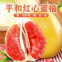 福建琯溪平和蜜柚新鲜采摘红心柚子水果代发当季红柚红心柚果园