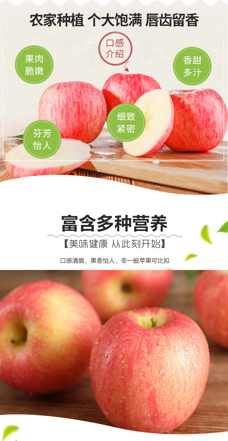 红苹果_03