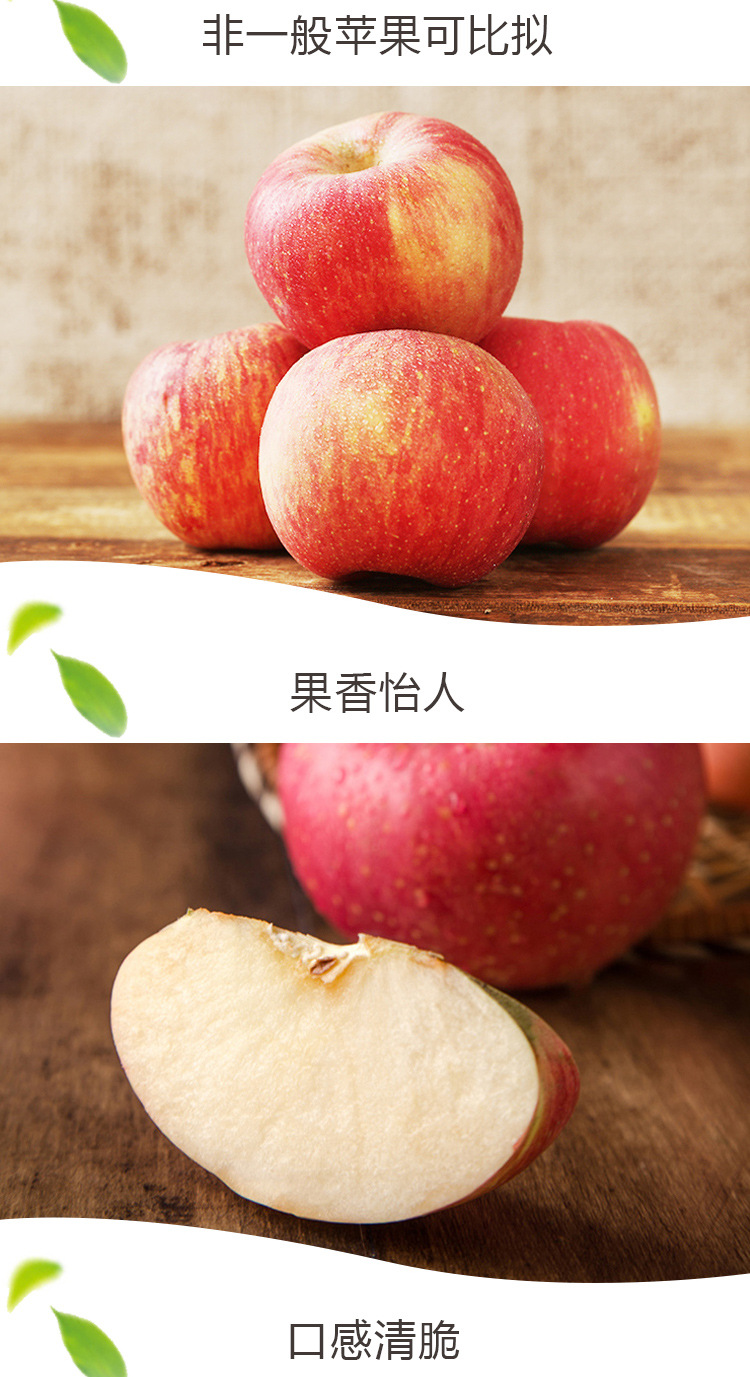 红苹果_04