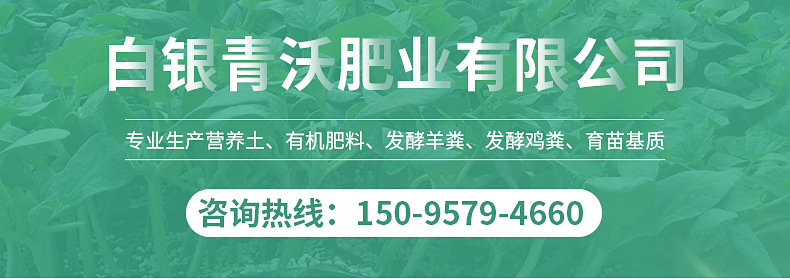 内页2_01.jpg