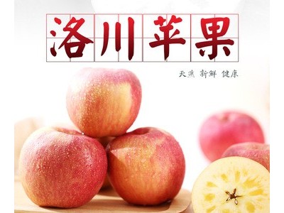 2021产地货源 【洛川红富士苹果】大果新鲜水果应季水果批发一件图2
