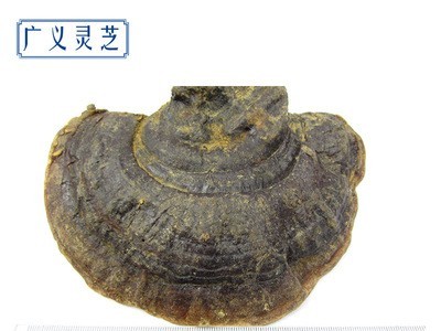 野生无柄赤芝 灵芝批发 红缘层孔菌 可切片 2吨现货 产地直销图4