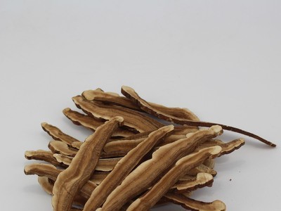 大量批发 长白山特产半野生紫灵芝 赤灵芝片 灵芝切片 产地直销图2