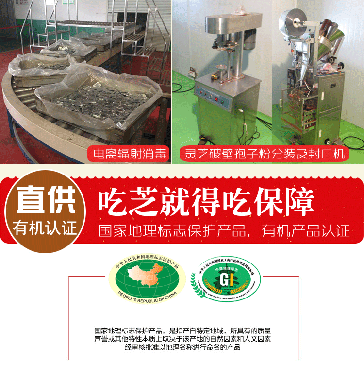 山东广义灵芝_12