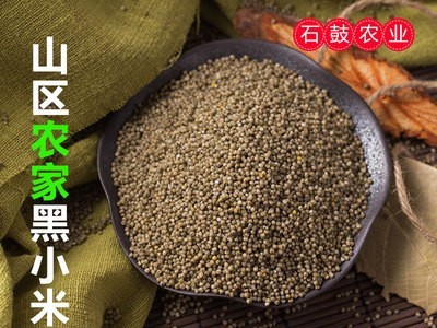 黑小米 500g真空装农家小米五谷杂粮粗粮图2