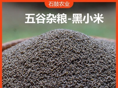 黑小米 500g真空装农家小米五谷杂粮粗粮图3