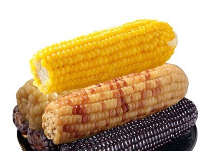 忻州糯甜玉米真空即食 黑玉米花玉米 黄玉米 粘玉米 甜玉米批发图5