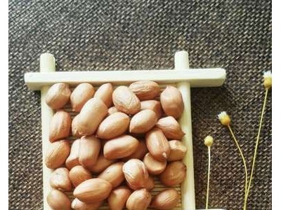 批发正阳花生生花生米榨油农家白沙花生仁花生米一件代发图4