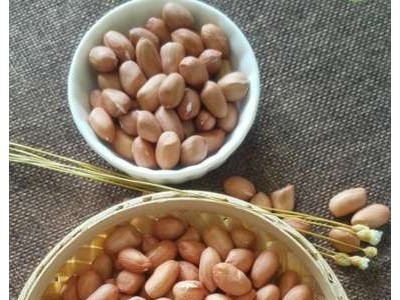 批发正阳花生生花生米榨油农家白沙花生仁花生米一件代发图2