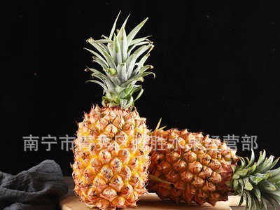海南金钻凤梨新鲜手撕牛奶凤梨无眼菠萝当季水果整箱批发一件代发图5