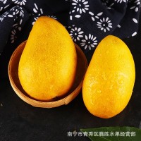 海南小台农芒果3/5/9斤中大果新鲜当季水果整箱现摘现发热带芒果