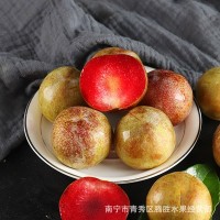 三华李子五月脆广西脆红脱骨李非青脆李新鲜孕妇水果现摘现发