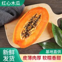 广西红心木瓜5斤9斤装牛奶冰糖心应季新鲜现摘热带水果整箱批发