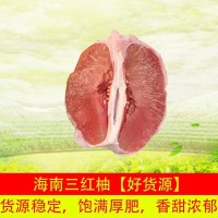 柚子广西海南三红蜜柚 红肉柚子琯溪蜜柚 新鲜水果香甜红心柚子