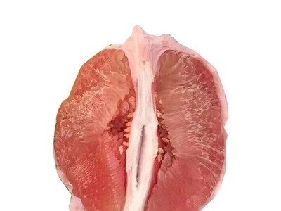 柚子广西海南三红蜜柚 红肉柚子琯溪蜜柚 新鲜水果香甜红心柚子图4