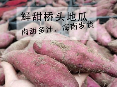 红薯现货广西海南南桥头地瓜黄蜜薯新鲜当季装整箱现挖农家沙地瓜图3