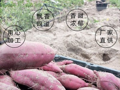 红薯现货广西海南南桥头地瓜黄蜜薯新鲜当季装整箱现挖农家沙地瓜图5