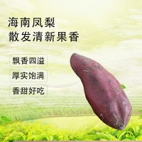 红薯现货广西海南南桥头地瓜黄蜜薯新鲜当季装整箱现挖农家沙地瓜