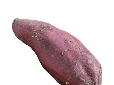 红薯现货广西海南南桥头地瓜黄蜜薯新鲜当季装整箱现挖农家沙地瓜图4