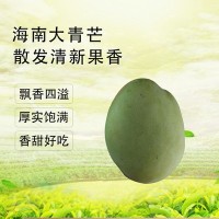 厂家直供现货海南大青芒新鲜现摘整箱当季水果青皮大芒果货源稳定