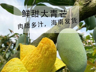 厂家直供现货海南大青芒新鲜现摘整箱当季水果青皮大芒果货源稳定图3