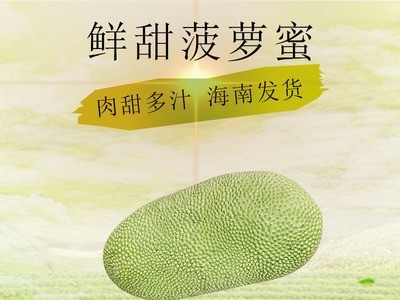 海南特产水果整箱黄肉菠萝蜜 非泰国红肉菠萝蜜新鲜水果 当季图4