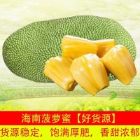 海南特产水果整箱黄肉菠萝蜜 非泰国红肉菠萝蜜新鲜水果 当季