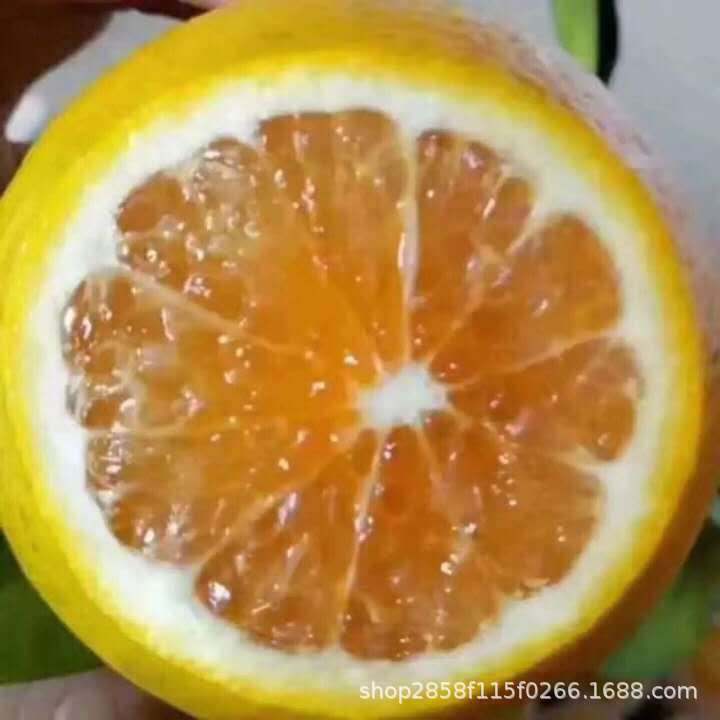 微信图片_20200814231401.jpg
