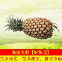 海南香甜浓郁凤梨小菠萝包邮新鲜水果菠萝海南金钻凤梨厂家批发