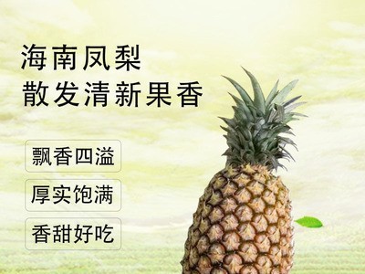 海南香甜浓郁凤梨小菠萝包邮新鲜水果菠萝海南金钻凤梨厂家批发图2