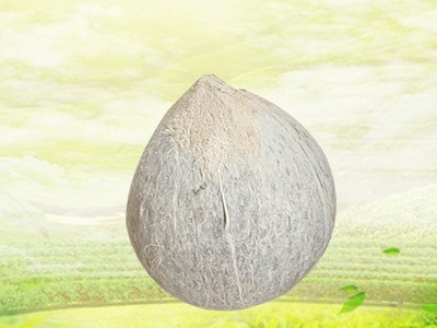 包邮厂家直供海南热带椰青9个6个4个装椰青青椰甘甜优良选种图3