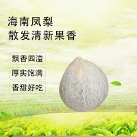 包邮厂家直供海南热带椰青9个6个4个装椰青青椰甘甜优良选种