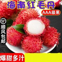 海南红毛丹新鲜毛荔枝5斤当季热带毛丹果水果孕妇水果1斤批发包邮