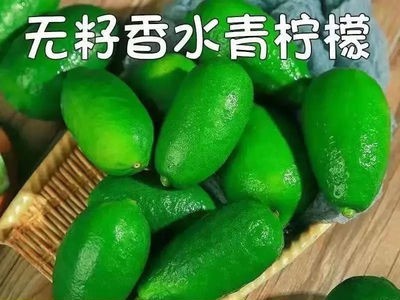 无籽香水柠檬青柠檬精选一级果6斤广东新鲜水果柠檬图3