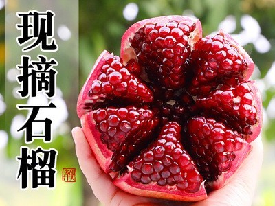 突尼斯软籽石榴9斤新鲜水果当季大果会理甜红石榴无籽孕妇图2