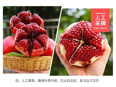 突尼斯软籽石榴9斤新鲜水果当季大果会理甜红石榴无籽孕妇图3