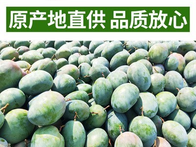 现摘旁枝花凯特大芒果 带箱10斤特大果 水果整箱包邮代发图3