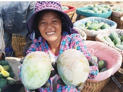 现摘旁枝花凯特大芒果 带箱10斤特大果 水果整箱包邮代发图4