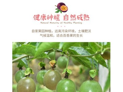 云南百香果水果新鲜大果5斤3斤当季整箱坏果包赔图5