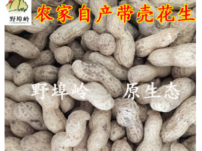 5斤包邮 沂蒙山/生花生 干花生 带壳花生 500克图3