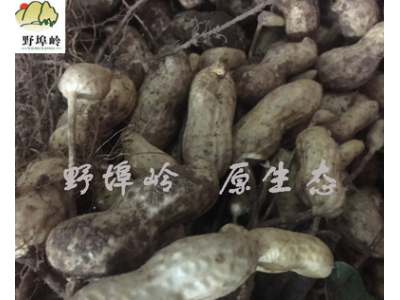 5斤包邮 沂蒙山/生花生 干花生 带壳花生 500克图5