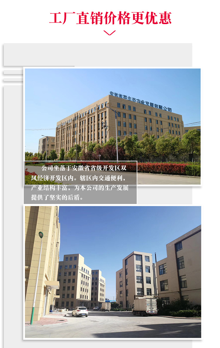 详情-新_01