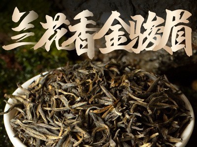 明前新春茶桐木关兰花香金骏眉红茶散装批发武夷山高山金俊眉茶叶图1